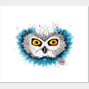 Owl Posters and Art